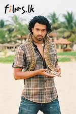 Charith Abeysinghe